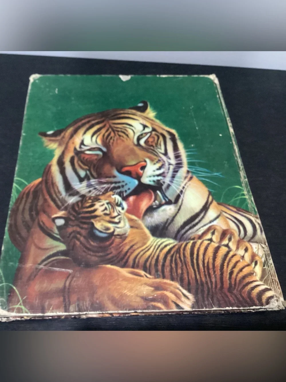 Vtg.Children’s Hardcover book Titled The Big Book of Wild Animals by Felix Sutto